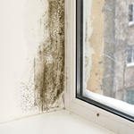 triple pane replacement windows